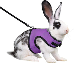 Adjustable Soft Harness with Elastic Leash for Rabbits (L, Purple)