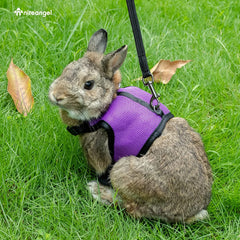 Adjustable Soft Harness with Elastic Leash for Rabbits (L, Purple)