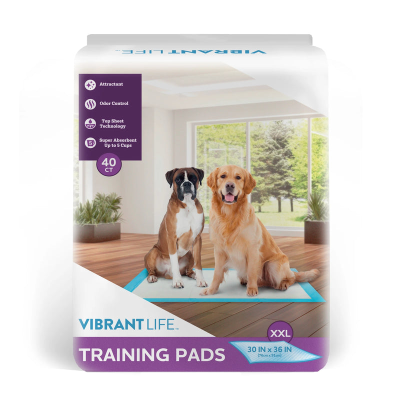 Training Pads, Dog & Puppy Pads, XXL, 30 in X 36 In, 40 Count