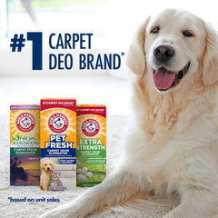 Pet Fresh Carpet Odor Eliminator, for Homes with Dogs or Cats, 42.6 Oz