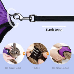 Adjustable Soft Harness with Elastic Leash for Rabbits (L, Purple)